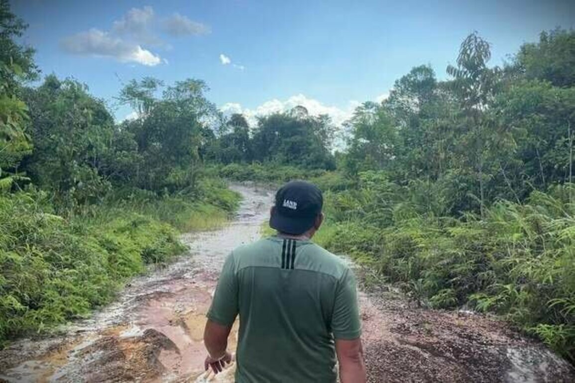 Malaysia: Wood Products Tainted by Abuse, Deforestation