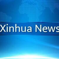 Chinese scientists reveal key mechanisms in early human embryonic development