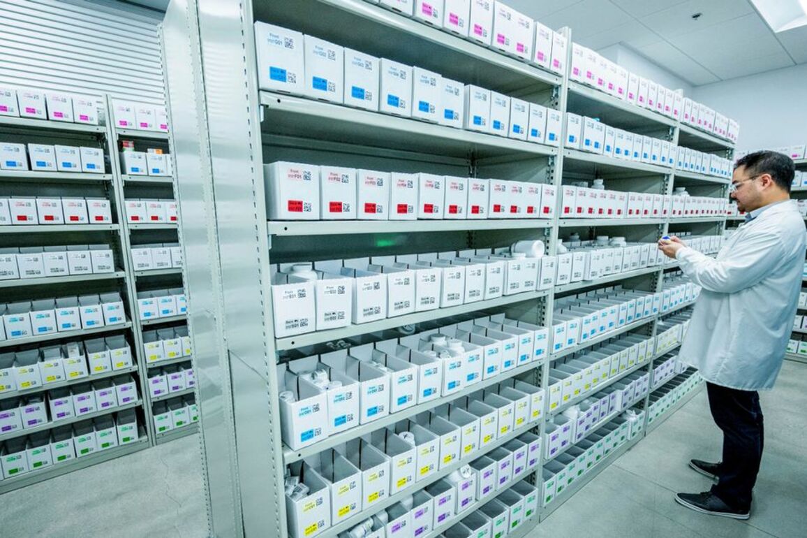 New patient record system goes live across Northern Ireland