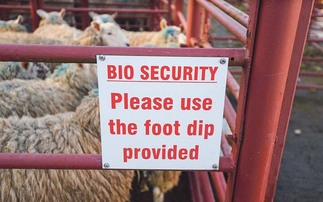 Letters: "Strong biosecurity must be the norm, not just a reaction to crises"