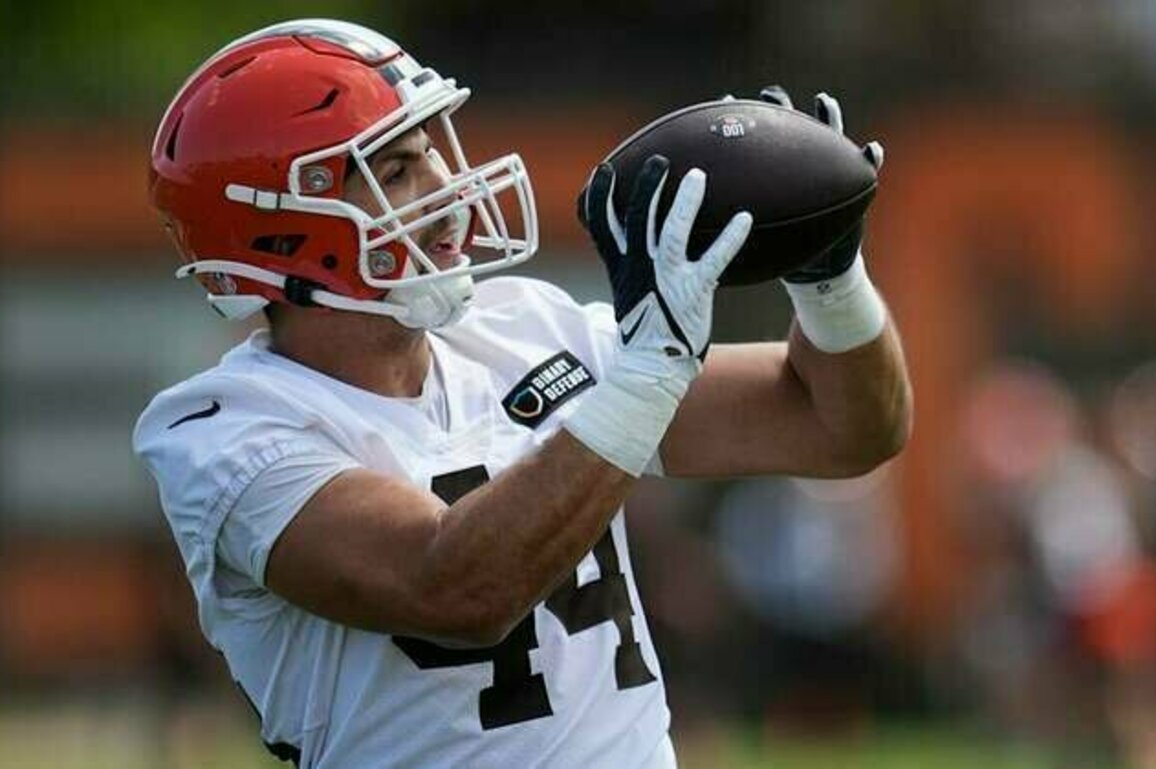 Vikings Sign TE Giovanni Ricci; Release OLB Matt Harmon