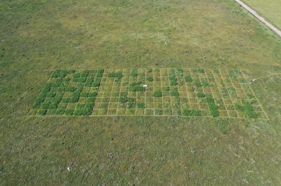 Decoding the green: China's living lab for grassland restoration
