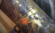  Visible gold in Lynx core, from drilling at Osisko Mining’s Windfall project in Quebec