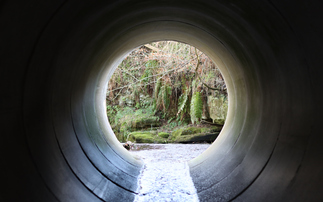 Water Act pulls plug on 'undeserved bonuses' at six water companies