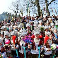 EnchantingGuangxi | Local authorities strengthen inheritance and development of ethnic culture at a Miao hamlet