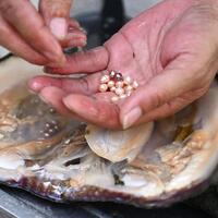 Pearls and socks: East China city's dual global triumphs