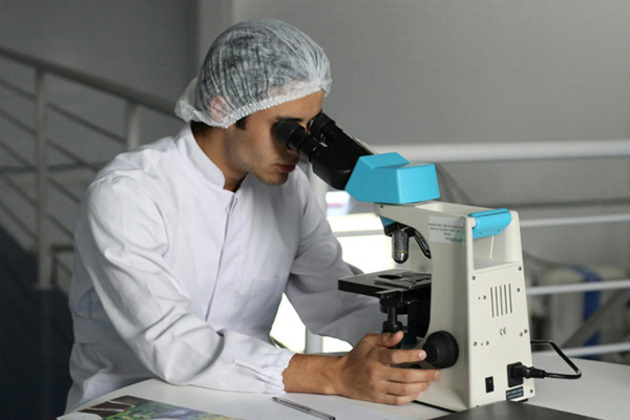 Ageing reduces CAR-T cell effectiveness by impairing metabolism, study shows