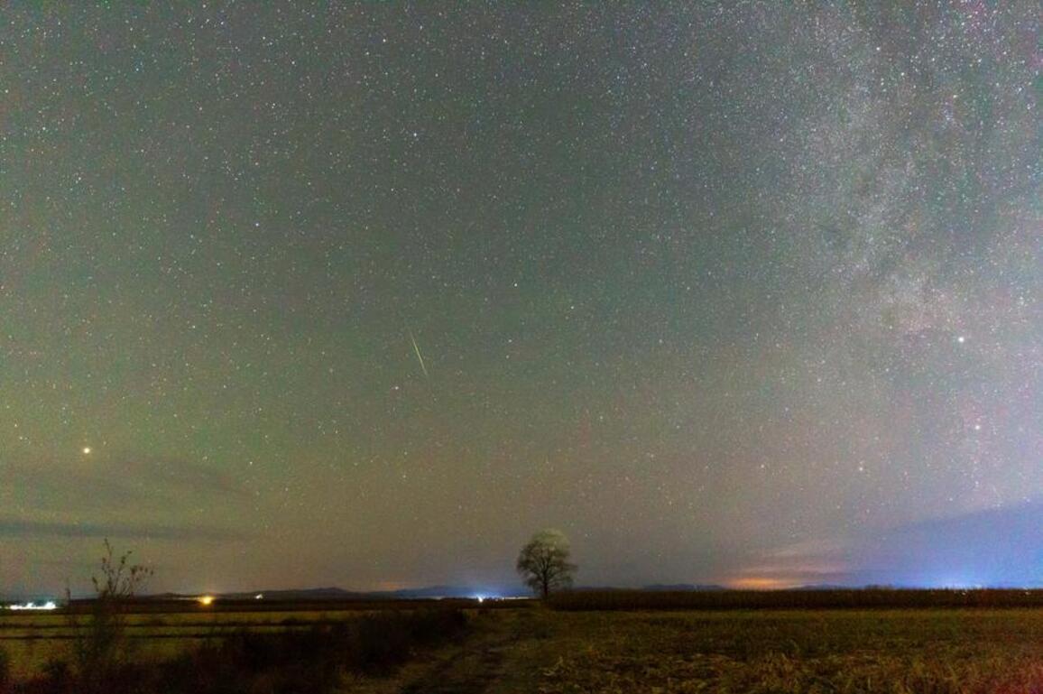 InPics | Orionid meteor shower lights night sky in NE China's Heilongjiang