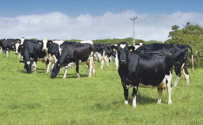 The woman had walked her dog in a field in North Yorkshire before climbing a tree to escape a herd of cows