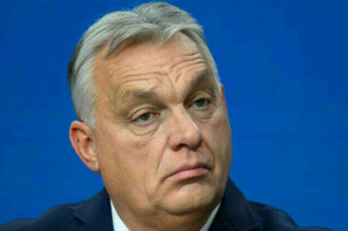 Hungary to ban LGBTQ parades - Orban