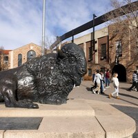 Wanda James' actions led to CU board to investigate regent (Opinion)