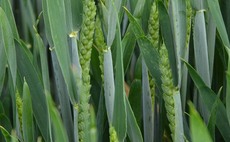 Unfair supply chains could undermine long term green goals