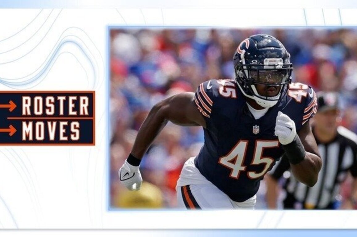 Roster Moves: Chicago Bears activate Ogbongbemiga