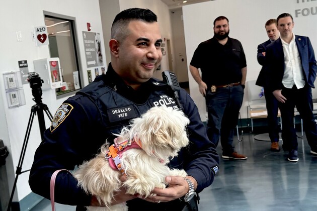 Little Maltese dog plucked from East River adopted by NYPD savior