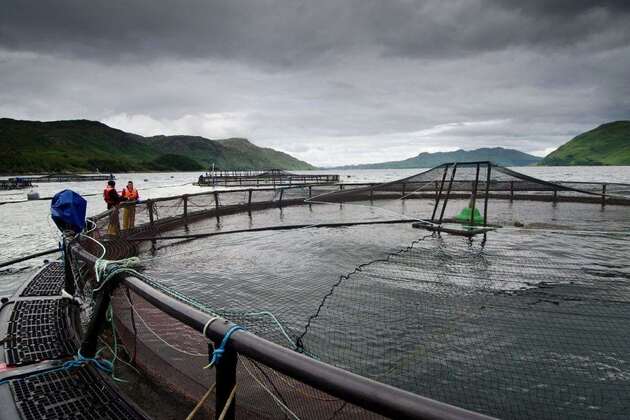 Marine economy up, despite drop off in fishing jobs