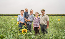 NSA Sheep South West Preview: Devonshire family prepare to host South West sheep event