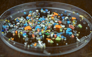 Government accused of failing to tackle microplastic pollution
