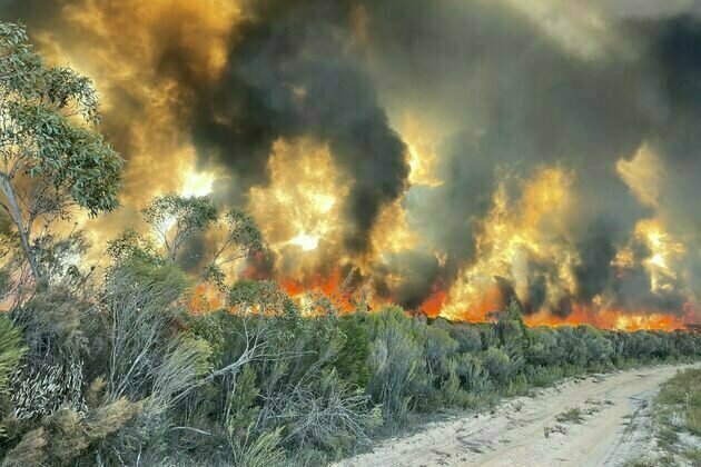 Most of Australia's conservation efforts ignore climate risks - here are 3 fixes