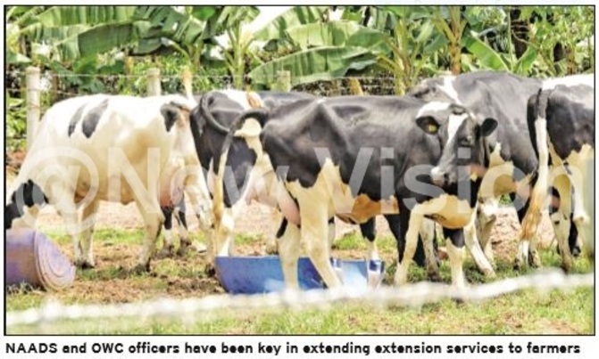 Extension services better, boost Ugandan farmers Extension services better, boost Ugandan farmers