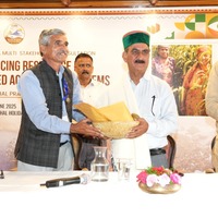 State Government will declare support price for potato: Himachal CM
