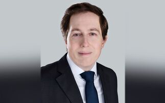 Allspring's Matthias Scheiber: Fundamentals front and centre as tariffs fade from spotlight