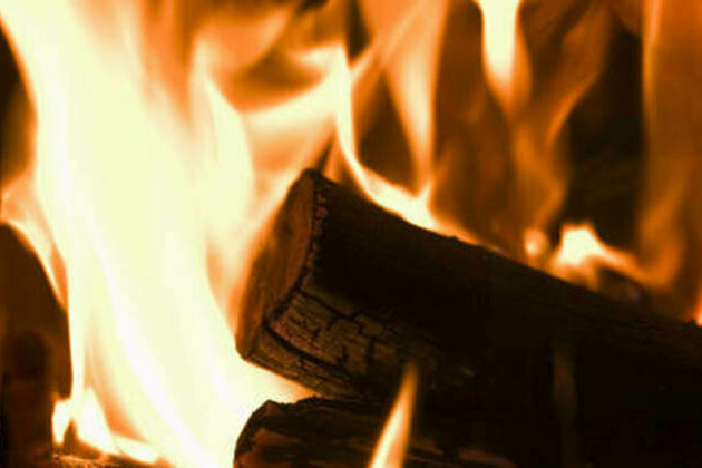 French firewood prices soaring - media