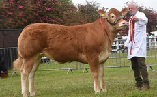 Limousin heifer claims beef supreme at Suffolk Show