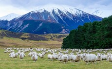 NZ forestry legislation welcomed
