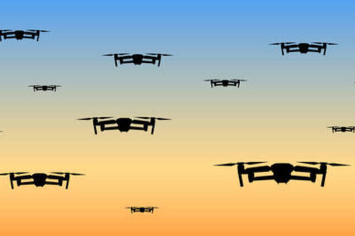 EU's 'drone wall' idea is 'utopia' - Romanian military chief