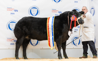  Four-time win at Thainstone Christmas Classic for Wilson Peters