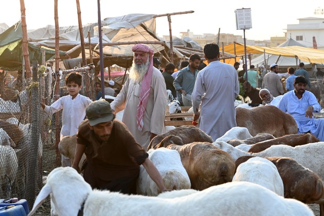 PAKISTAN-ISLAMABAD-EID AL-ADHA-LIVESTOCK MARKET
