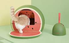 ClearVue backs China-focused pet lifestyle brand