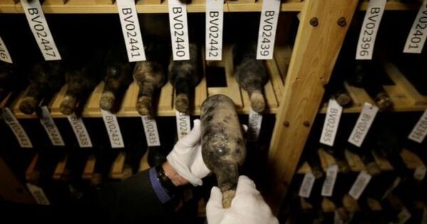 Czech castle's collection of precious wine goes on display