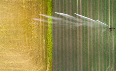 Severe UK drought sparks call to prioritise water for food growing