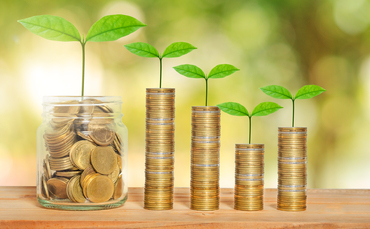 BSI: Sustainable investment funds guidelines aim to put 'meat on the bones of SDR'