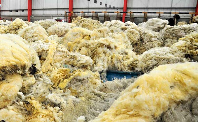 GYS 2021: British Wool to open online shop