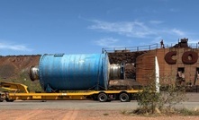 Aurelia still washing its face