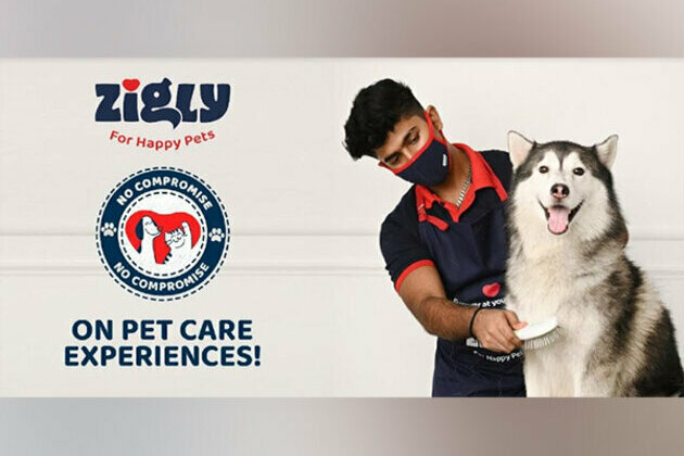 Zigly's brand campaign encourages 'No Compromise' on pet care