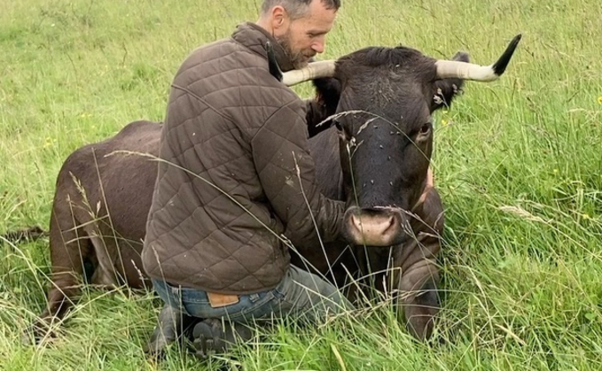 Dave Mountjoy whose new book Being With Cows maps his journey from grief to acceptance after the death of his brother