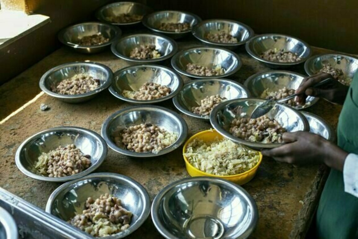 South Africa's malnutrition crisis: why a cheaper basket of healthy food is the answer