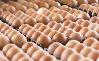 British egg producers urge fair trade rules as Ukrainian imports surge 