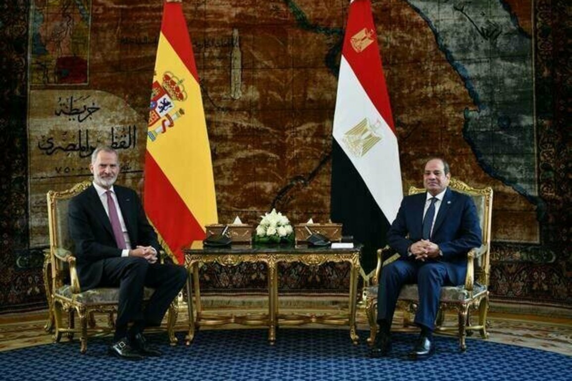 Egypt, Spain reaffirm rejection of Israeli attempts to displace Palestinians