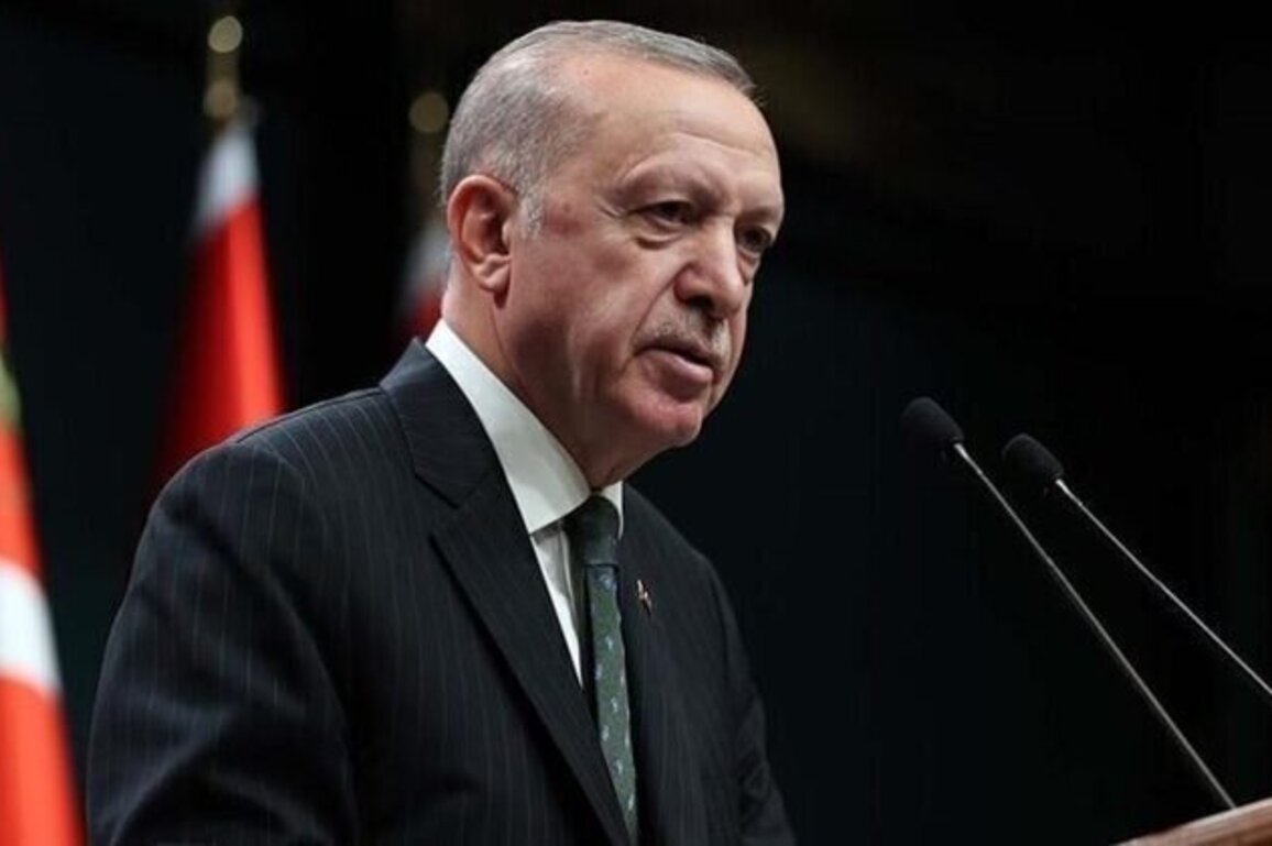 Erdogan: Peace in Gaza requires two-state solution