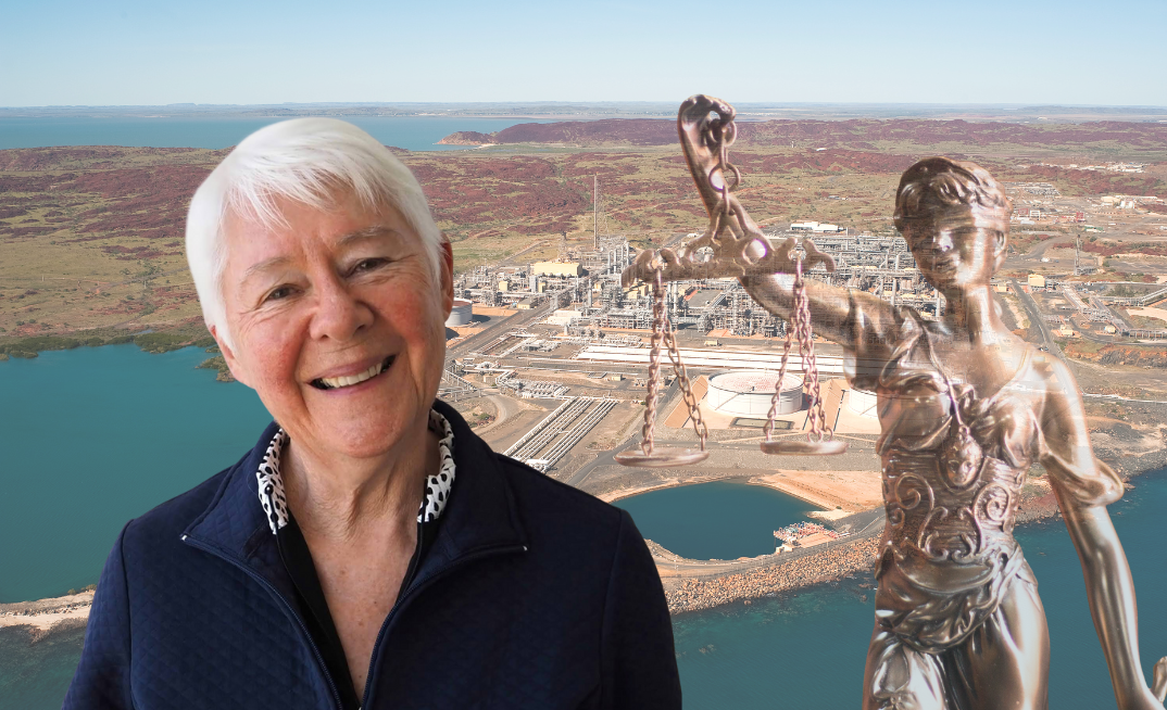 Opinion: What the intervention of the UN special rapporteur as an 'amicus curiae' means for the legal challenges against Woodside's North West Shelf project