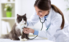 BC-backed VetPartners sees initial bids fall short of price expectations