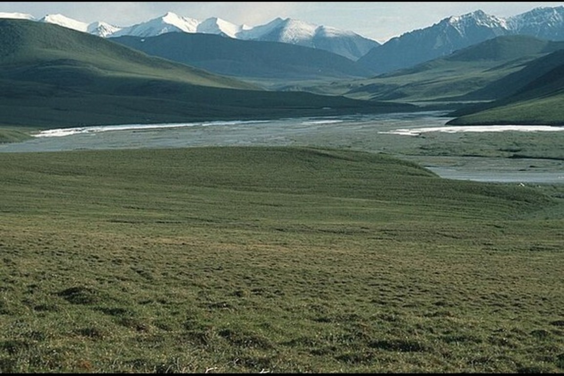 Trump team clears path for Alaska oil leases, road through refuge