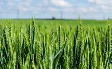 Farmers invited to join pioneering crop trials  