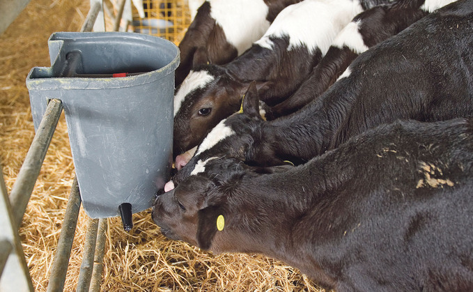 Greater understanding around milk replacers