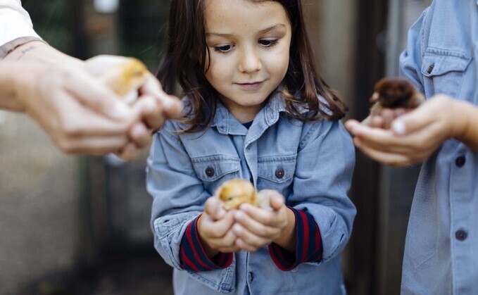 The Country Trust is warning a gap in farm visit payments will deter farmers from hosting schools