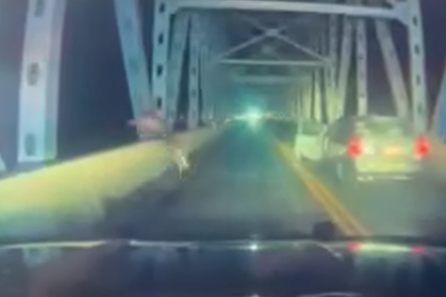 Video- Fleeing Missouri driver exits vehicle, dives head first off bridge